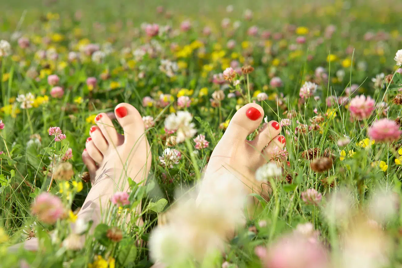 summer-pedicure-2022-02-14-19-36-33-utc.jpg (2)